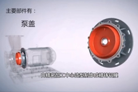 超高效循环专用泵